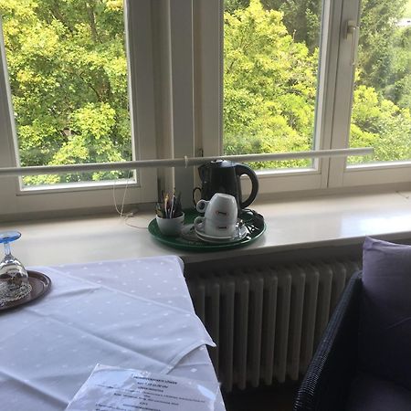 Gasthaus Zum Loewen - Restaurant Akropolis Hausach Kültér fotó